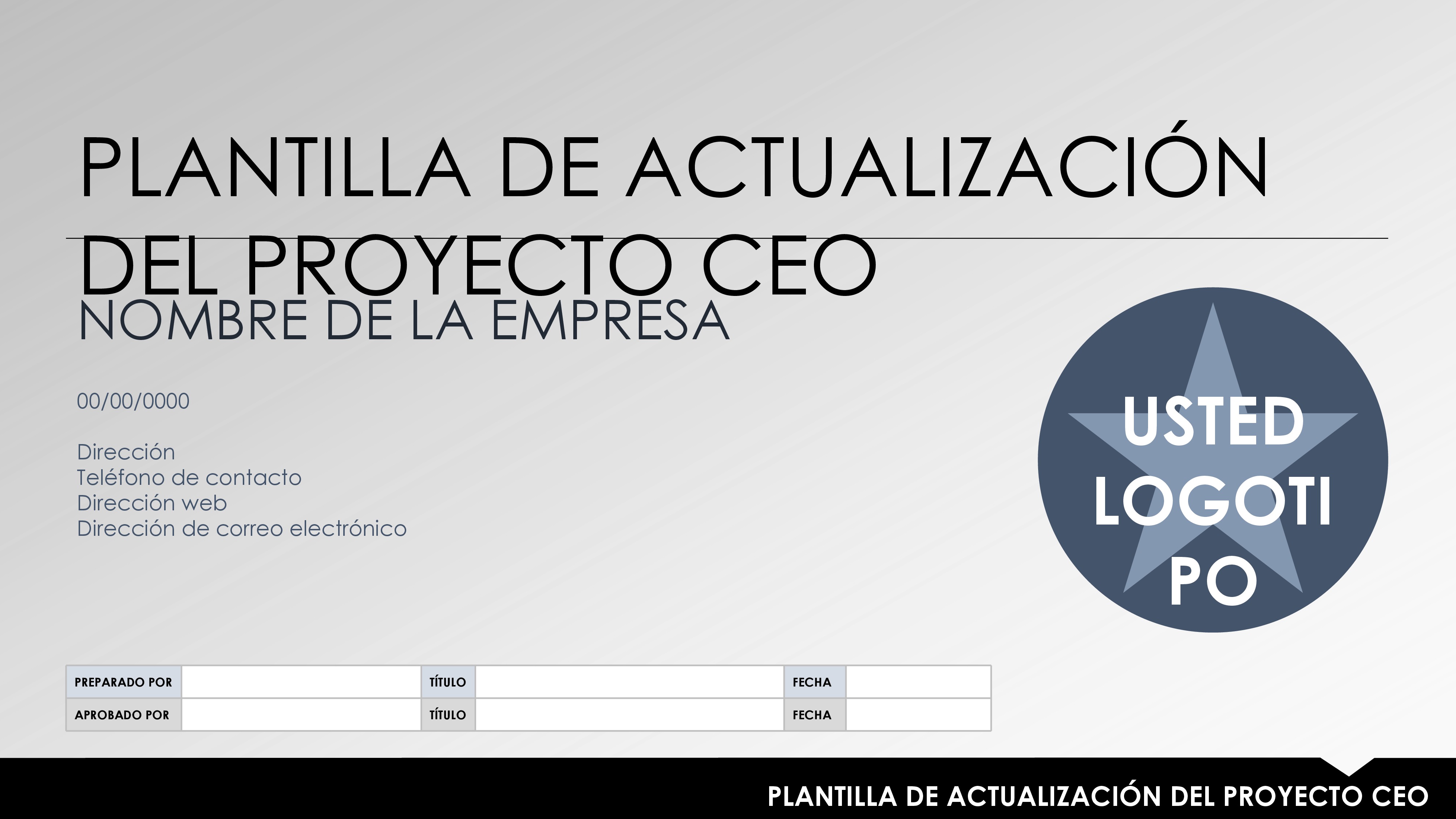 Plantilla de actualización de proyecto de CEO