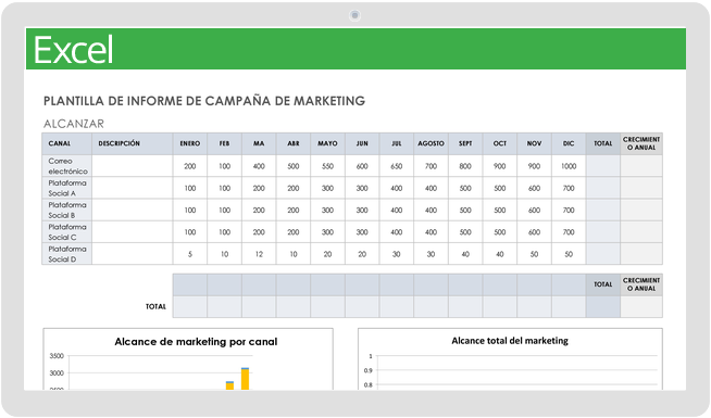 Informe de campaña de marketing