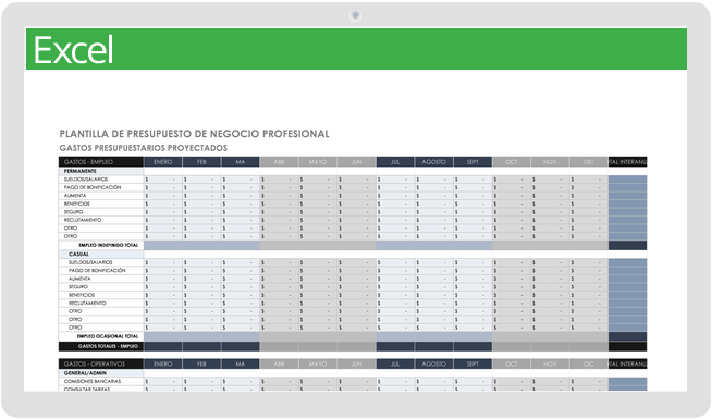 Presupuesto empresarial profesional